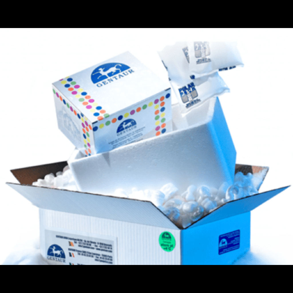 Hieff NGS® Primer Mix for Illumina®-24T