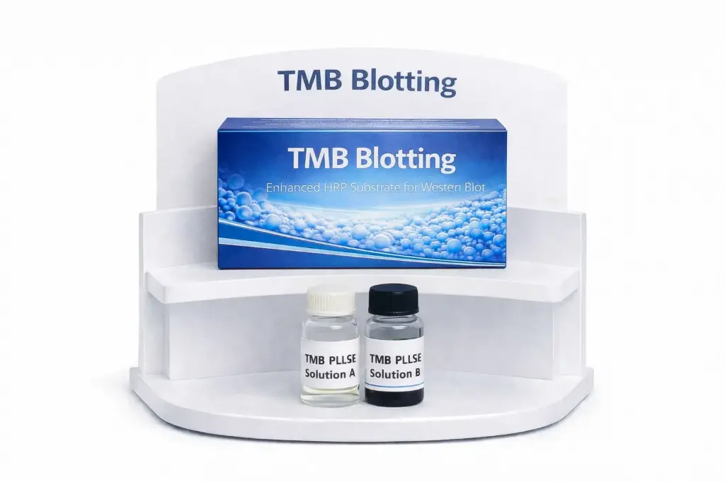 TMB Blotting